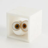 Alabaster Big Eyed Owl in Cube-Small