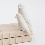 Book Bird-Matte White-Small(منحوتة طائرين على صندوق - بلون أبيض غير لامع- حجم صغير)