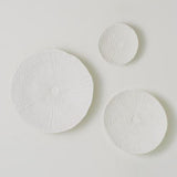 Ceramic Urchin Platter-Matte White-Small(طبق من السيراميك - مزخرف - أبيض صغير)