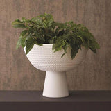 Florentine Footed Bowl-Matte White