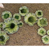 Medium Lily Plate-Green-Large(ديكور حائط زهرة السوسن - أخضر - كبير)