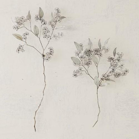 Seeded Eucalyptus-Antique Nickel-Small wall décor(أوكالبتوس - نيكل عتيق - ديكور جداري صغير)