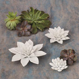 Succulent-Bisque White-Medium decorative accessory (تحفة الزهرة من الخزف - بيضاء - متوسطة)