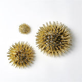 Urchin-Gold-Medium(قنفذ ذهبي - وسط )