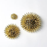Urchin-Gold-Small