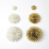 Urchin-White-Small(قنفذ - أبيض غير لامع - صغير)